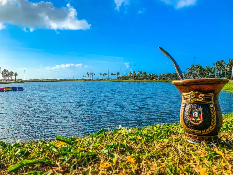 Chimarrão, the shared mate of the Gaúchos