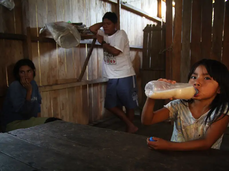 Masato, a fermented cassava drink