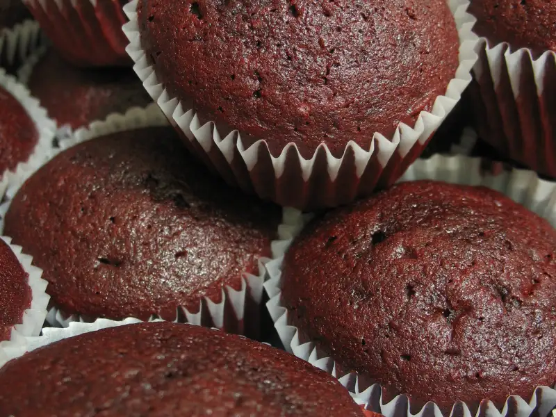 German cake with red wine and chocolate chips