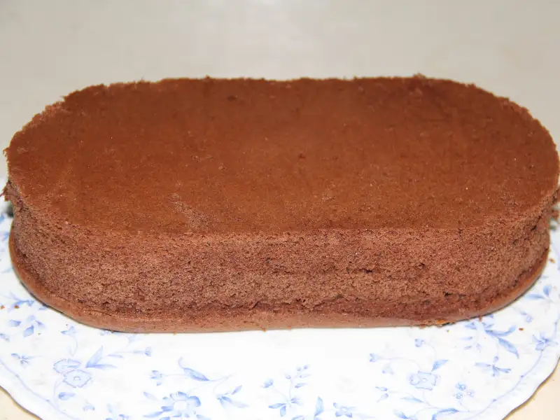 sponge cake